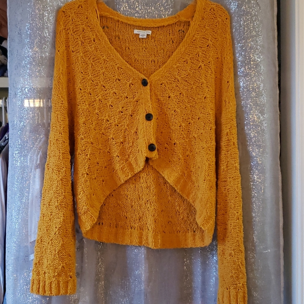 American Eagle cropped sweater